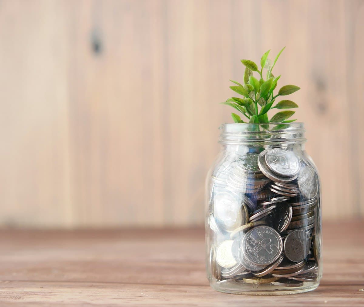 Glass jar filled with coins and a small plant, a picture of investment growth