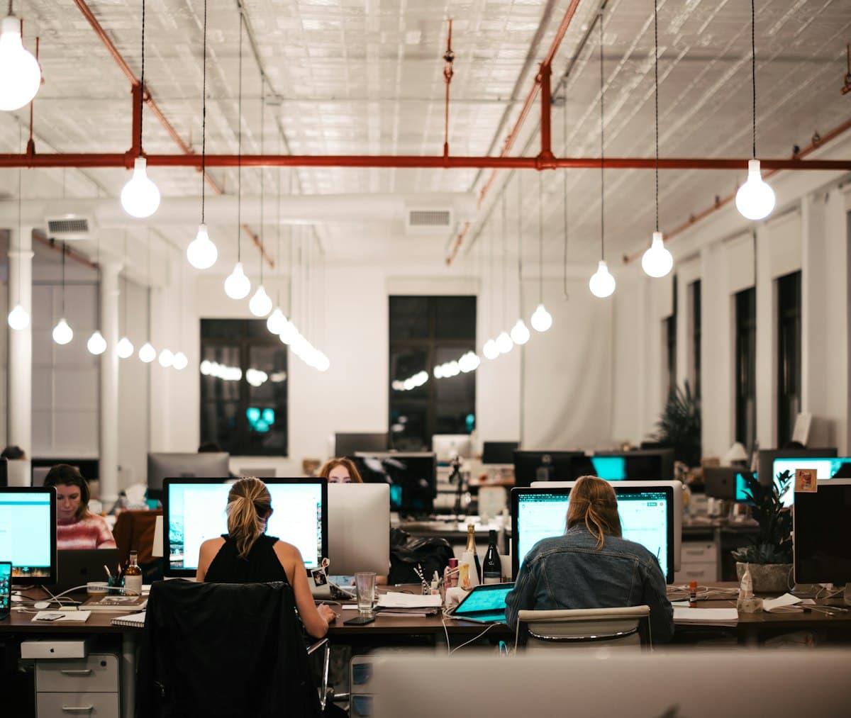 Office workers sitting in front of computers on a normal working day